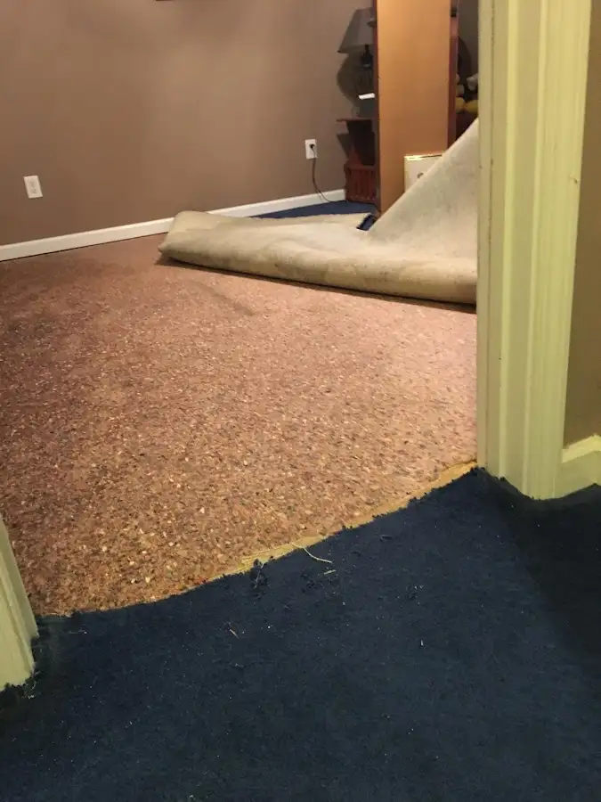 Carpet pad removal revealing water damage during Water Mitigation Services in Griswold